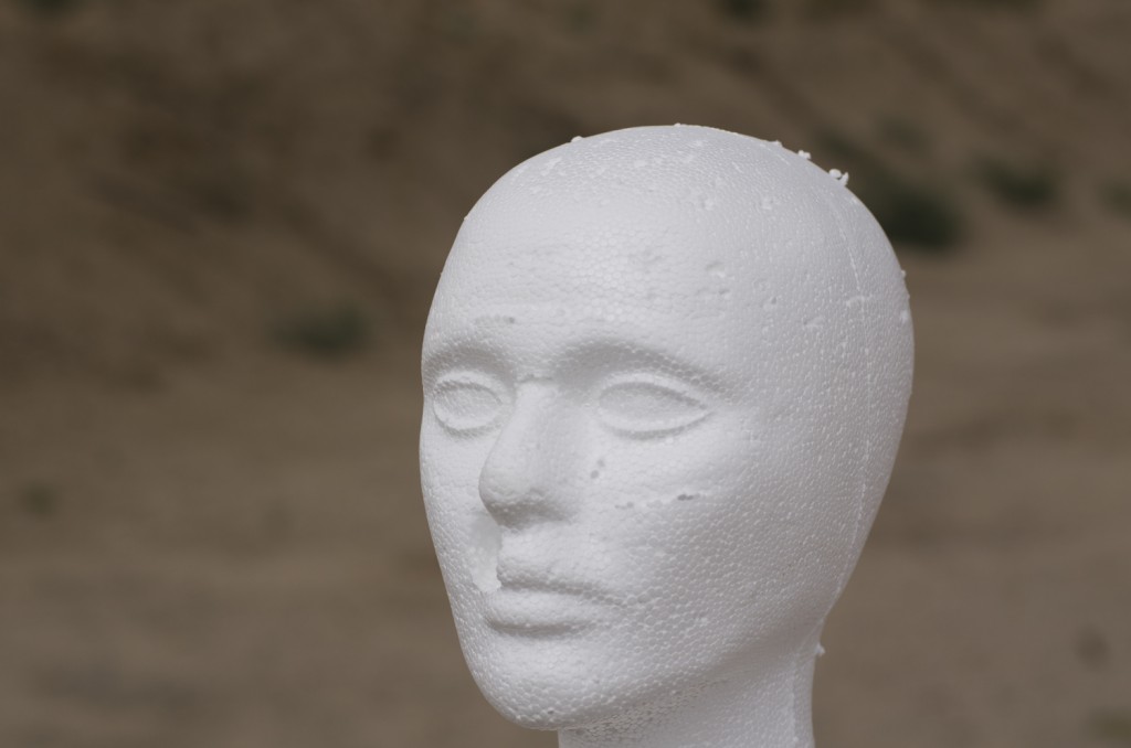 sawflyface