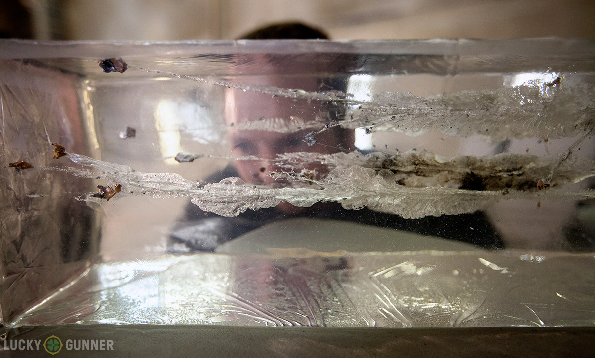 Looking at ammunition in ballistic gel see-through-block